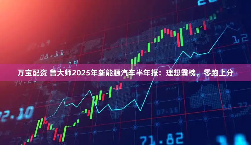 万宝配资 鲁大师2025年新能源汽车半年报：理想霸榜，零跑上分