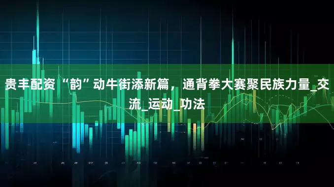 贵丰配资 “韵”动牛街添新篇，通背拳大赛聚民族力量_交流_运动_功法