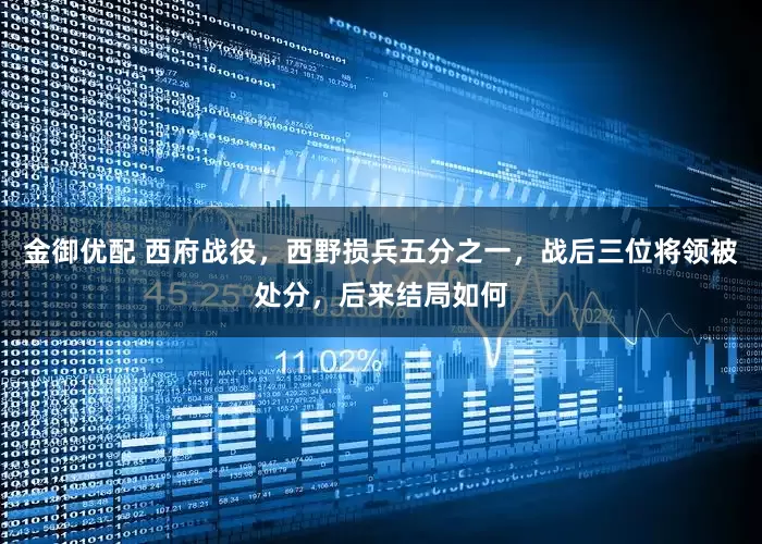 金御优配 西府战役，西野损兵五分之一，战后三位将领被处分，后来结局如何