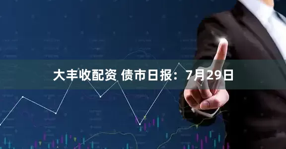 大丰收配资 债市日报：7月29日